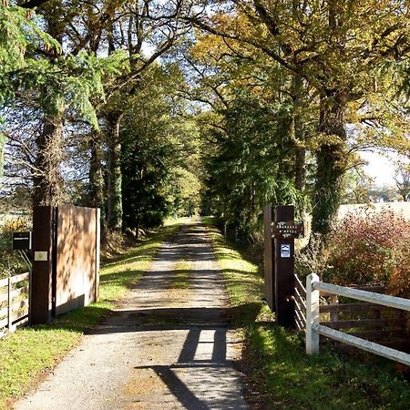 La Ferme De Pomereix Le Dorat Exteriör bild