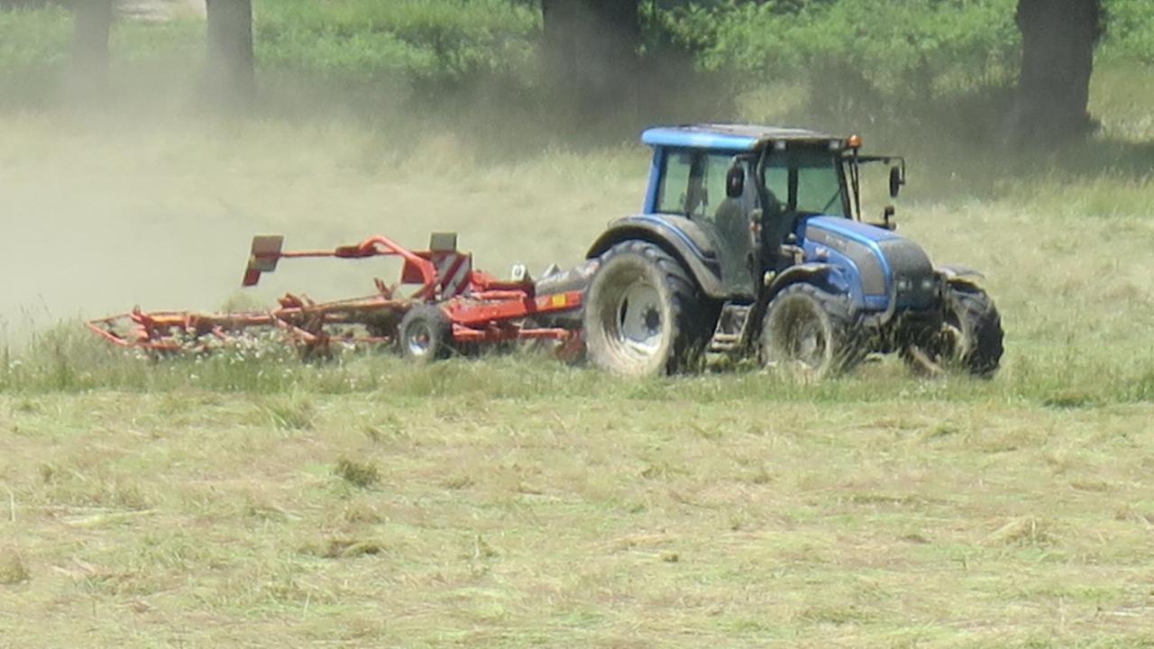La Ferme De Pomereix Le Dorat Exteriör bild